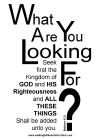 What are you looking for?